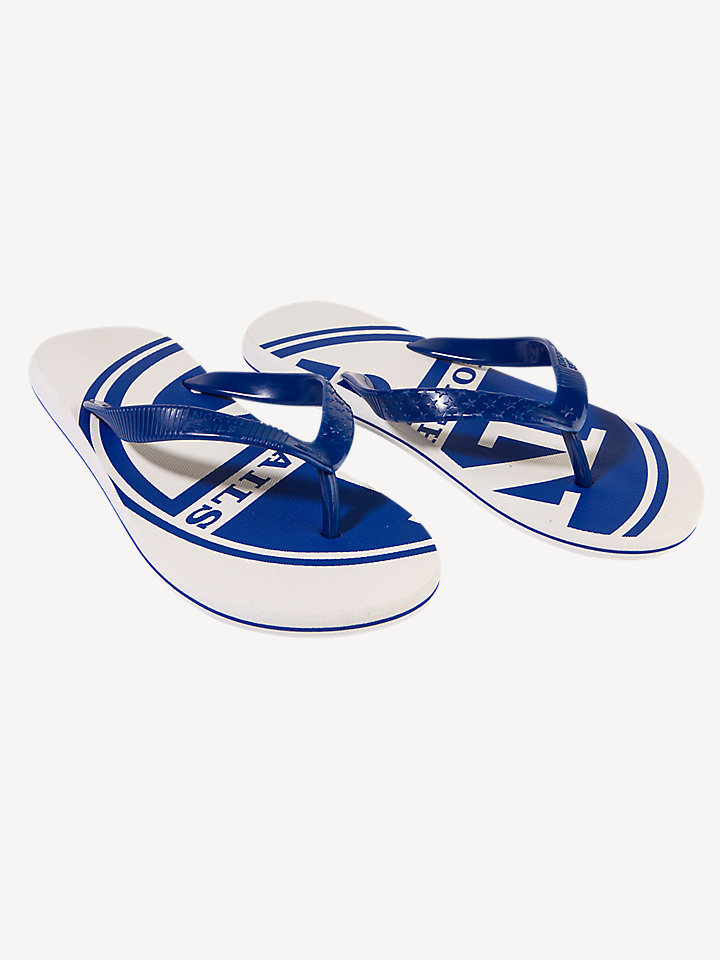 Printed Flip-Flops Printed Flip-Flops